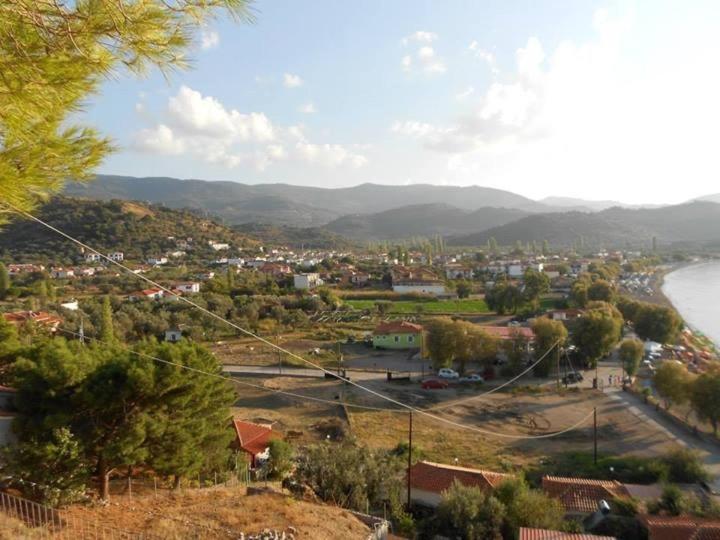 Anaxos Hotel Extérieur photo